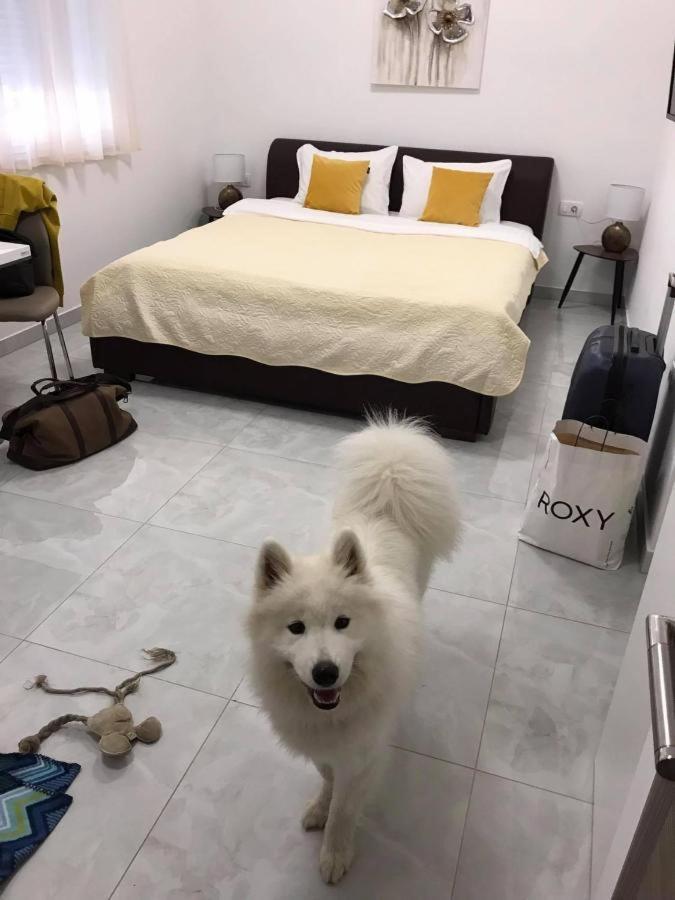 Marine Lux Apartment