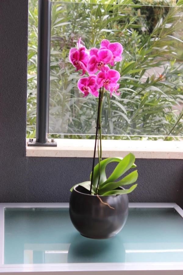 Appartement Marine Lux